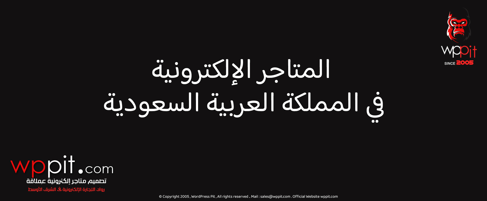 المتاجر الإلكترونية في المملكة العربية السعودية