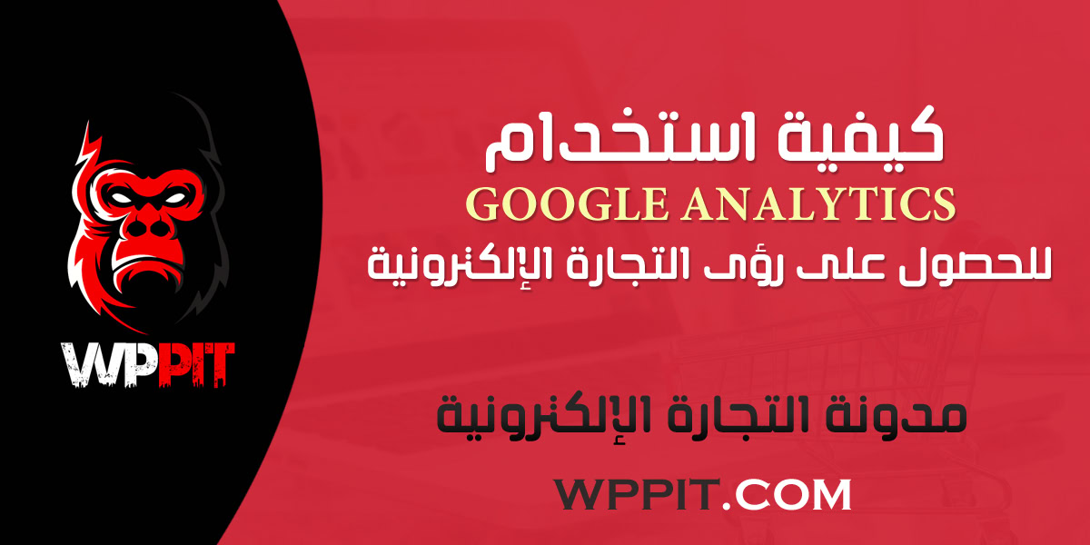 كيفية استخدام Google Analytics للحصول على رؤى التجارة الإلكترونية