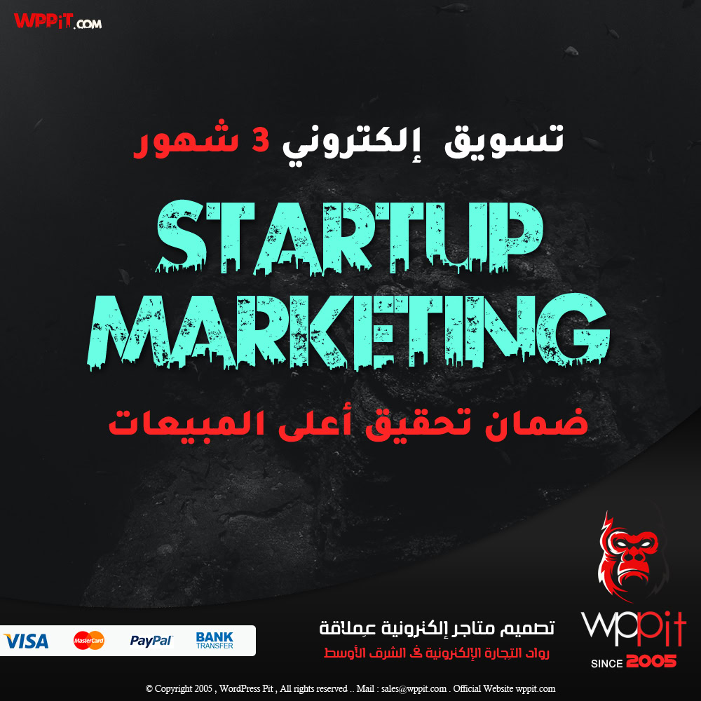 تسويق إلكتروني لفترة 3 شهورة باقة startup