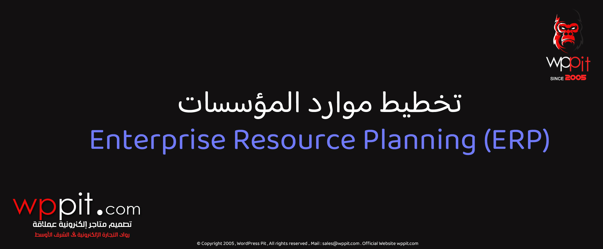 تخطيط موارد المؤسسات Enterprise Resource Planning (ERP)